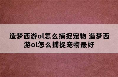 造梦西游ol怎么捕捉宠物 造梦西游ol怎么捕捉宠物最好